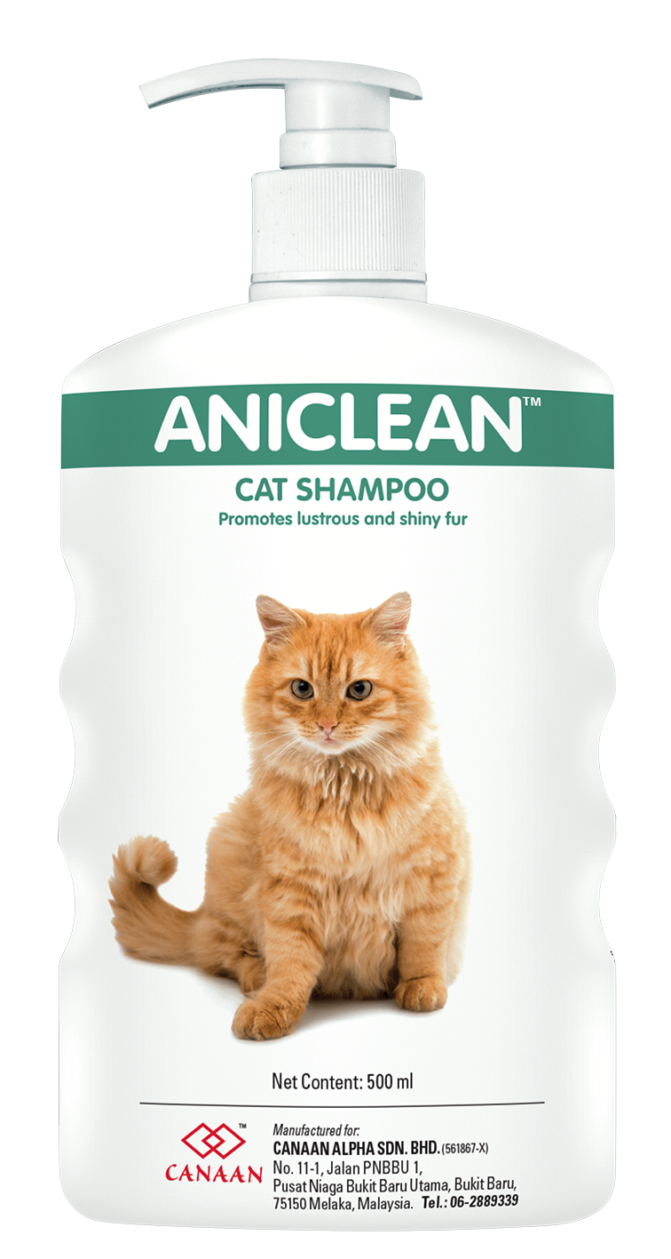 Aniclean pet shampoo promotes lustrous and shiny fur for cat in Malaysia