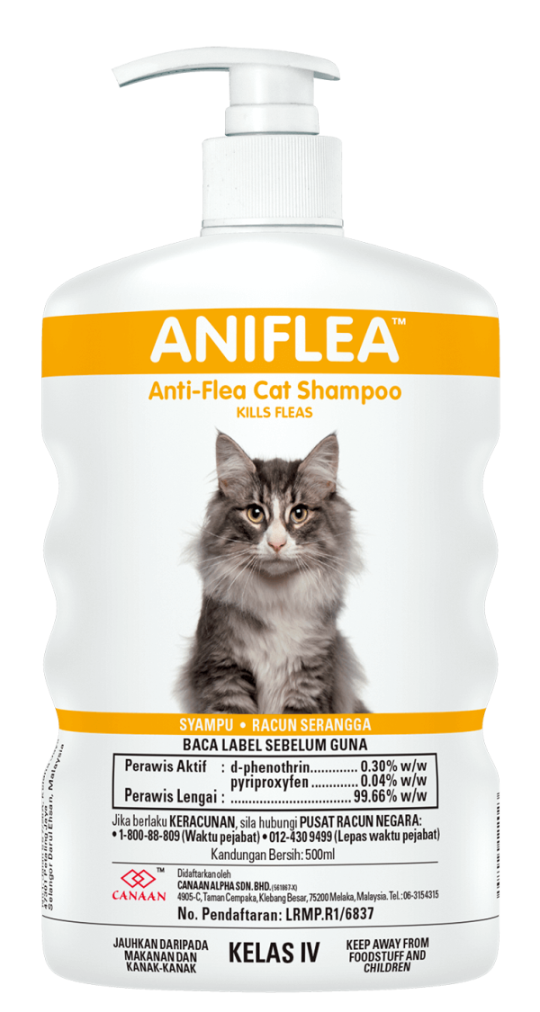 The best anti flea shampoo for cats